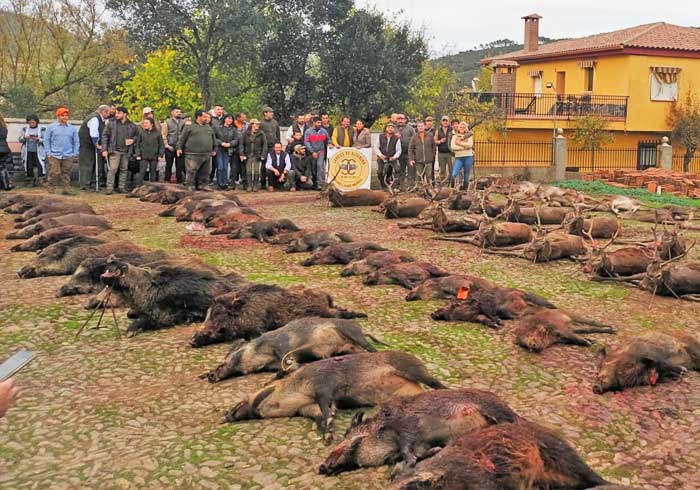 Chaqueta Caza Blaser