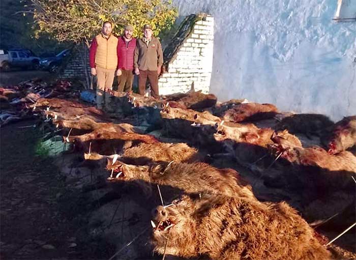 Chaqueta Caza Blaser