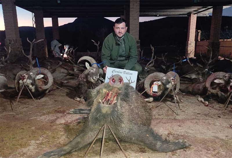 Chaqueta Caza Blaser