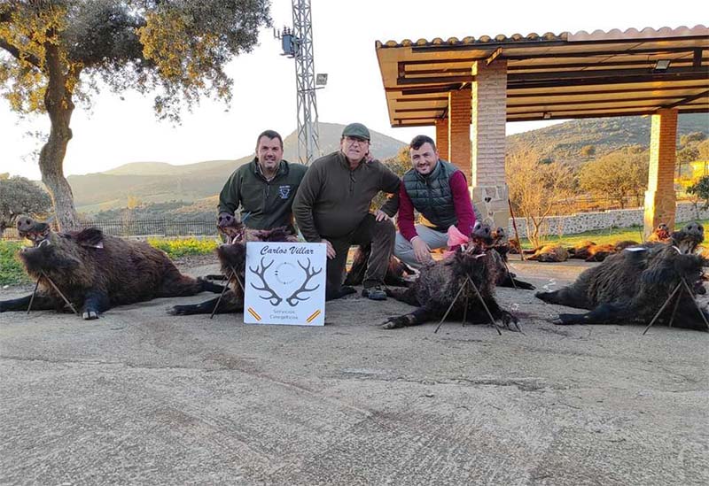 Chaqueta Caza Blaser