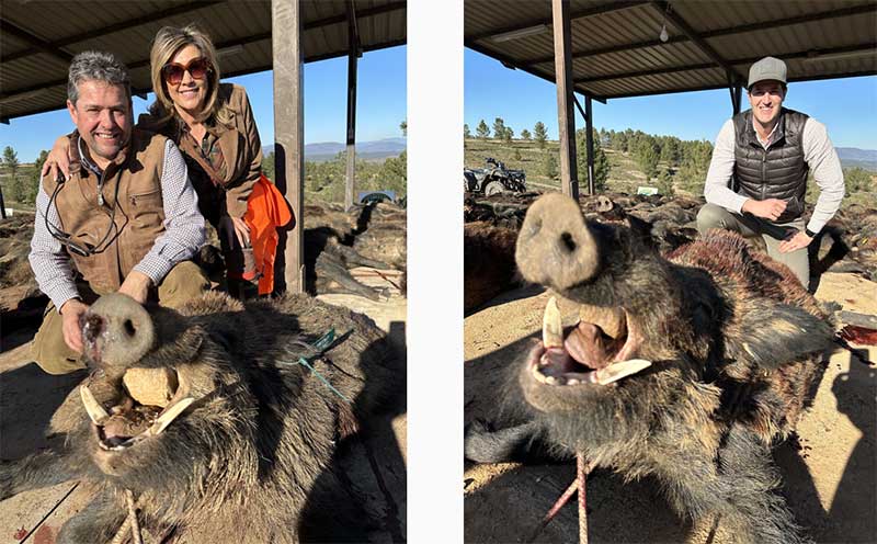 Chaqueta Caza Blaser