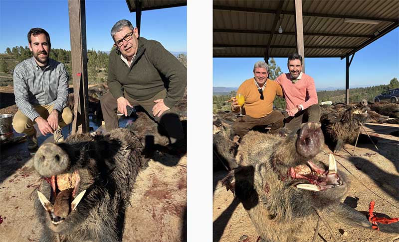 Chaqueta Caza Blaser