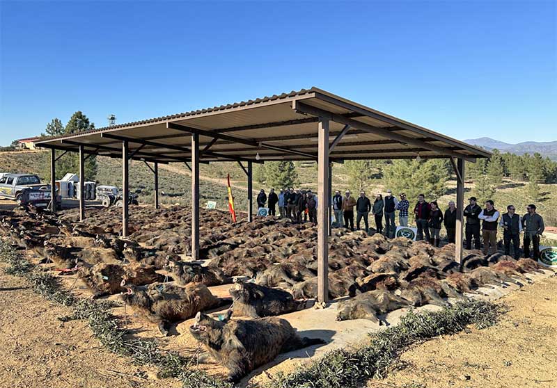 Chaqueta Caza Blaser