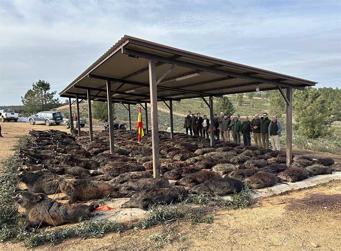 Chaqueta Caza Blaser