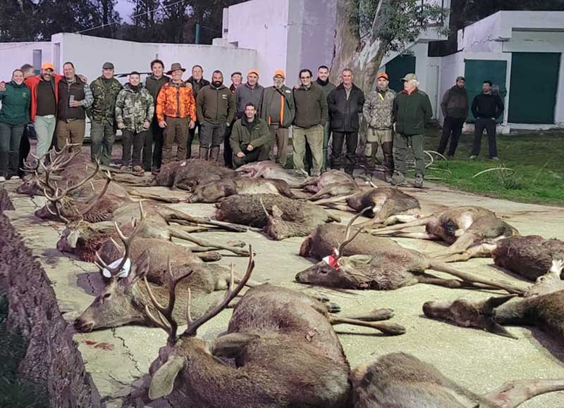 Chaqueta Caza Blaser