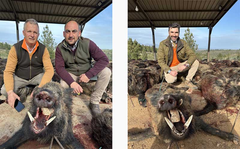 Chaqueta Caza Blaser