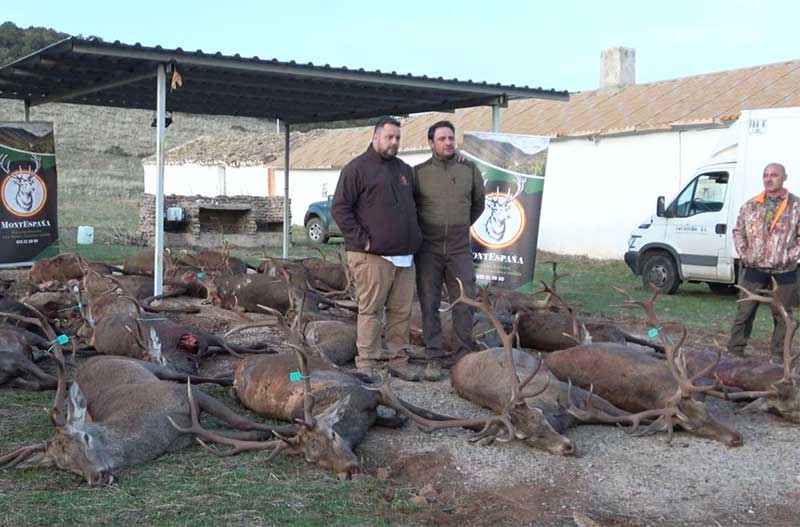 Chaqueta Caza Blaser