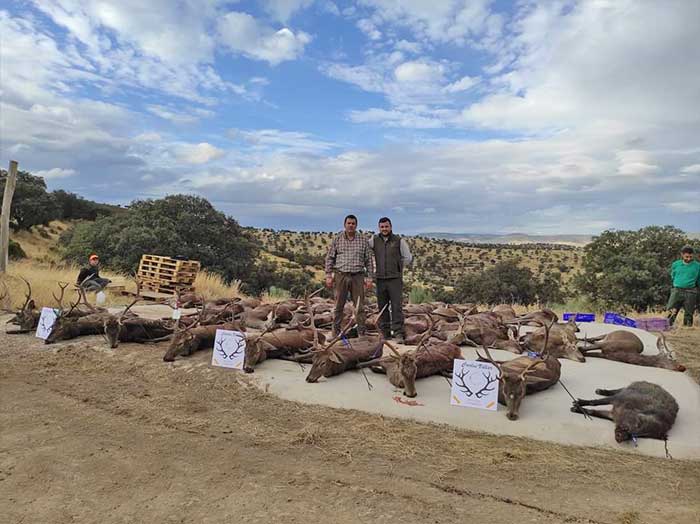 Chaqueta Caza Blaser