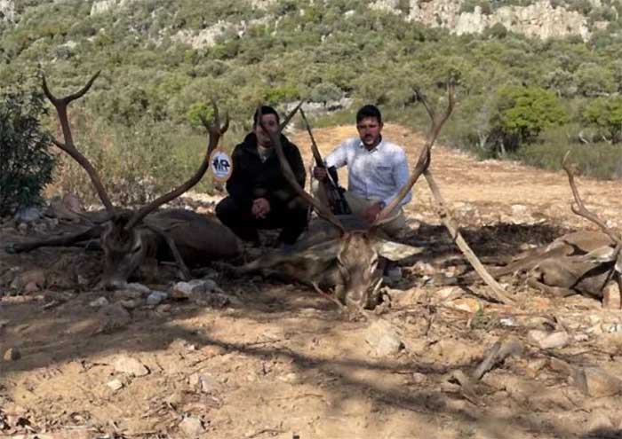 Chaqueta Caza Blaser