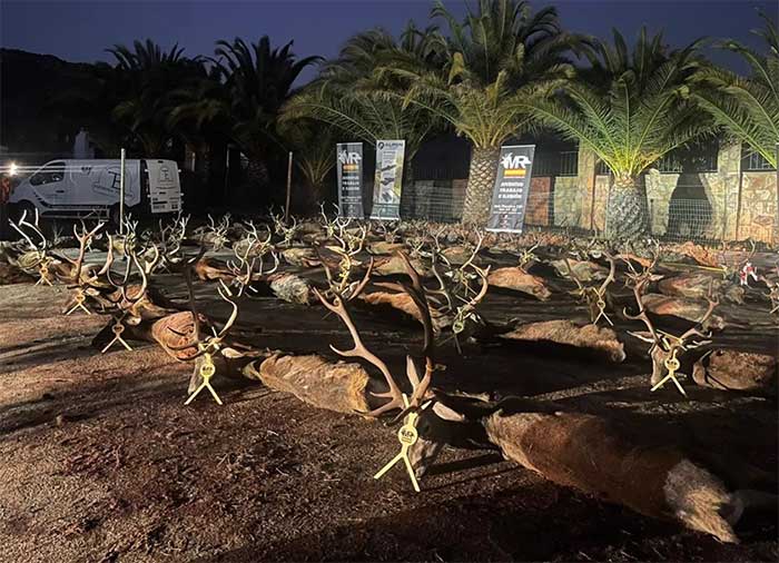 Chaqueta Caza Blaser