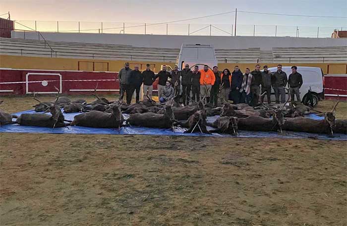 Chaqueta Caza Blaser