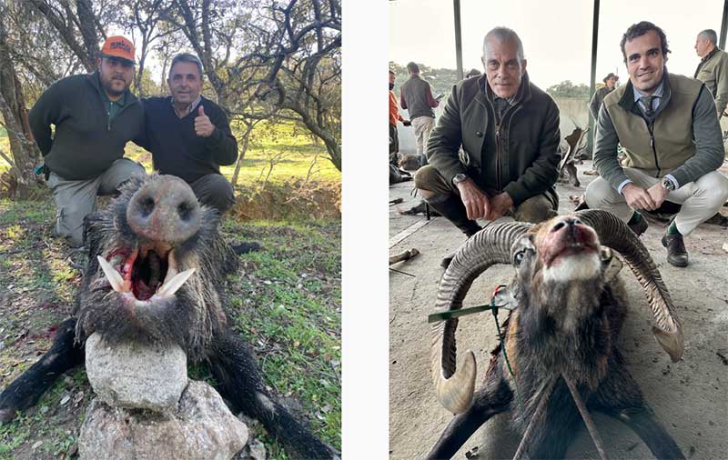 Chaqueta Caza Blaser