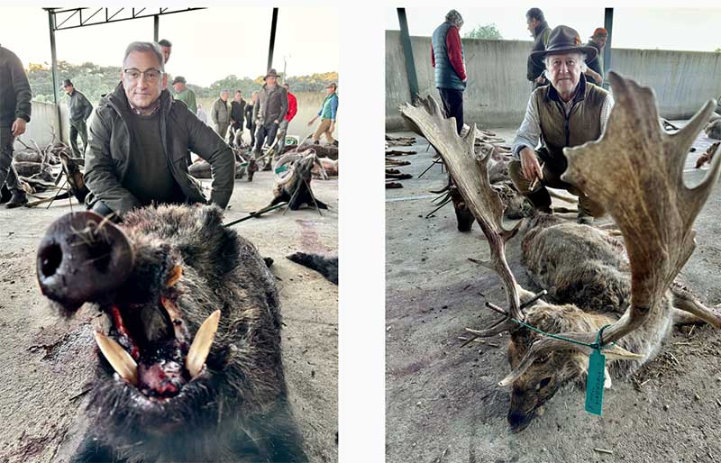 Chaqueta Caza Blaser