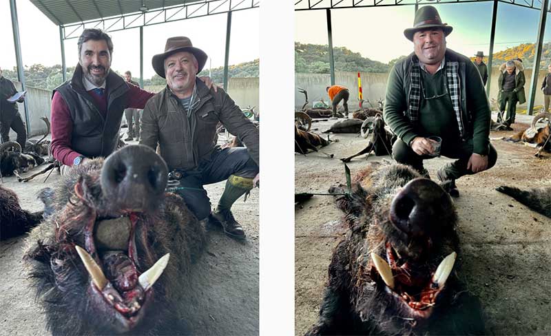 Chaqueta Caza Blaser