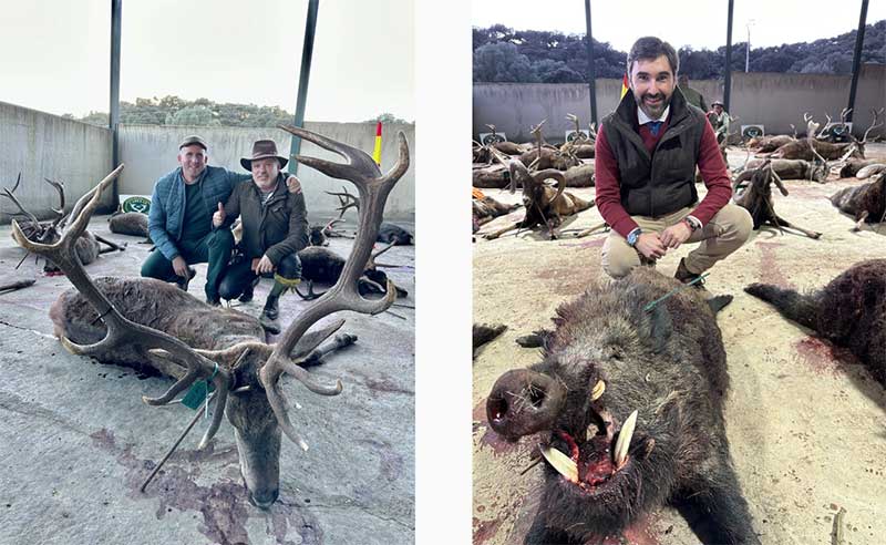 Chaqueta Caza Blaser