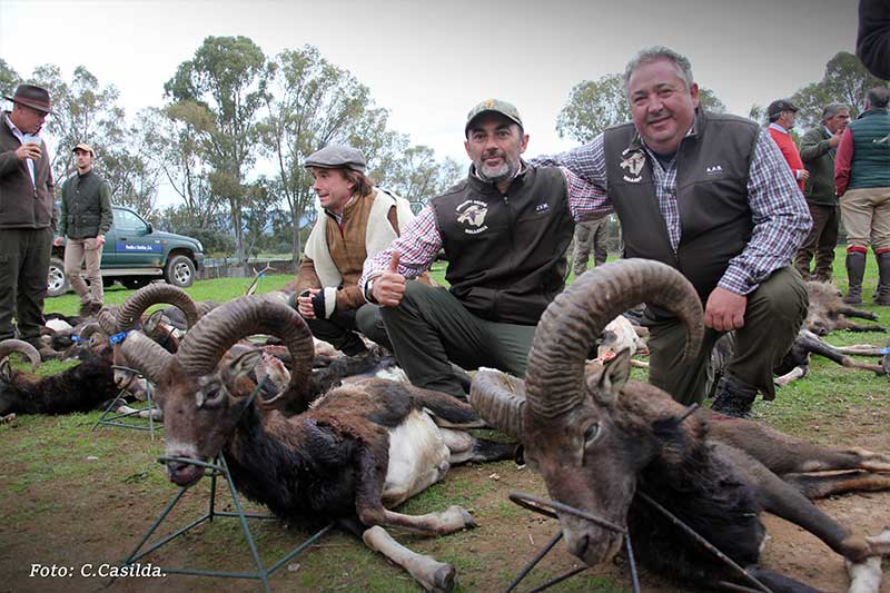 Chaqueta Caza Blaser