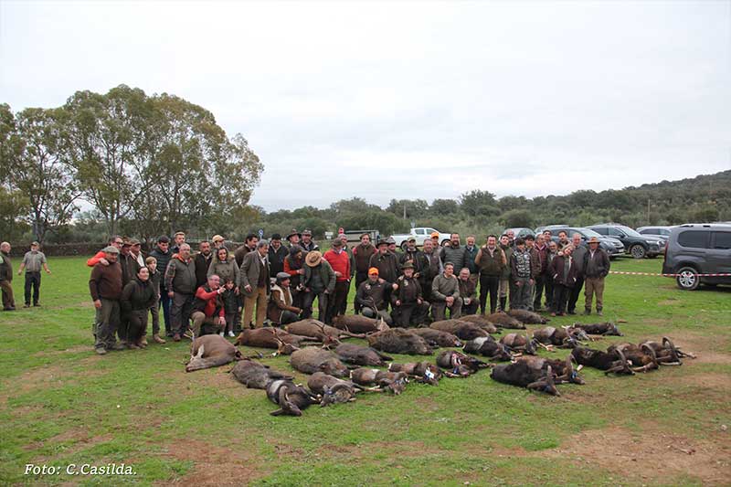 Chaqueta Caza Blaser