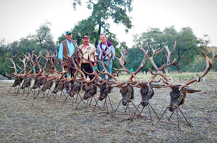 Chaqueta Caza Blaser