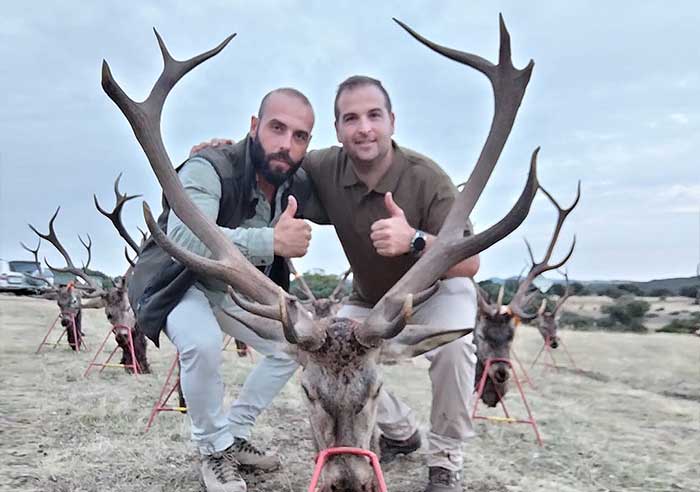 Chaqueta Caza Blaser