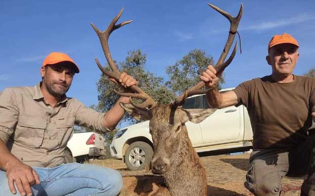 Chaqueta Caza Blaser