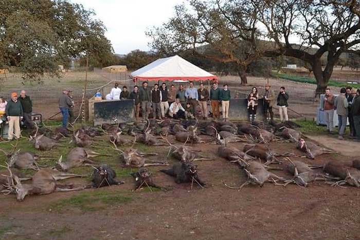 Chaqueta Caza Blaser