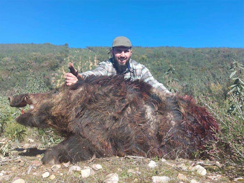 Chaqueta Caza Blaser