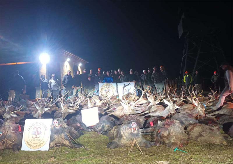 Chaqueta Caza Blaser