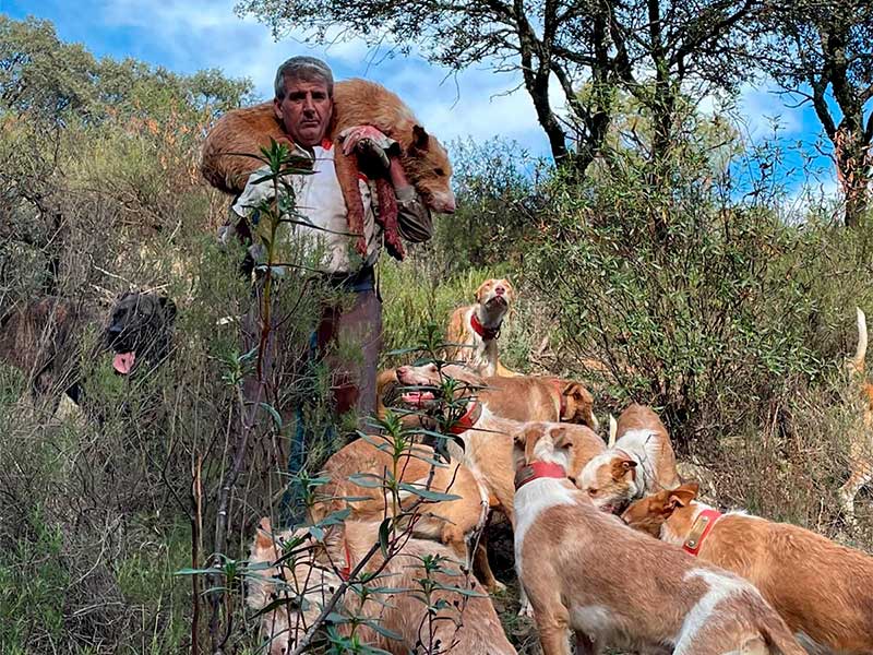 Resultado Montería Pedrocheño 2022 Cinegética Entrejaras