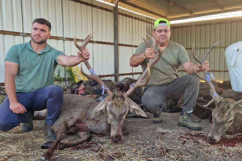 Chaqueta Caza Blaser