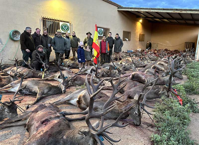 Chaqueta Caza Blaser