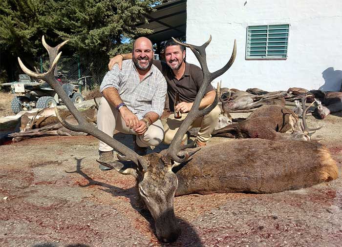 Chaqueta Caza Blaser