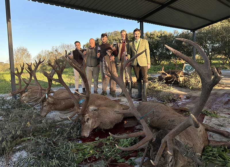 Chaqueta Caza Blaser