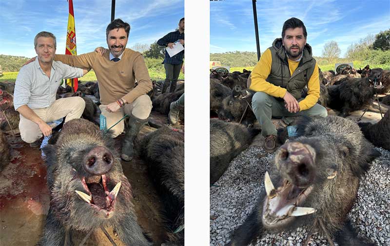 Chaqueta Caza Blaser