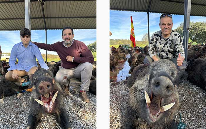 Chaqueta Caza Blaser