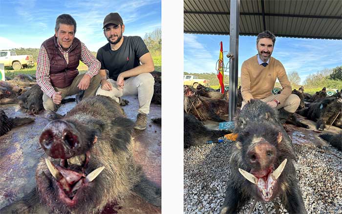 Chaqueta Caza Blaser