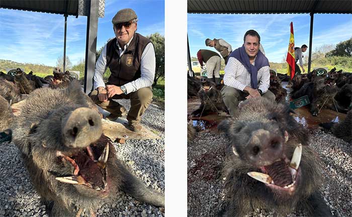 Chaqueta Caza Blaser