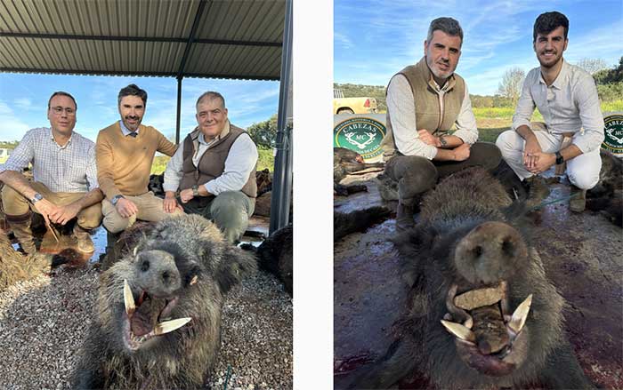 Chaqueta Caza Blaser