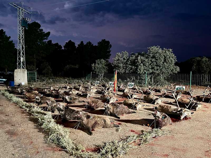 Chaqueta Caza Blaser
