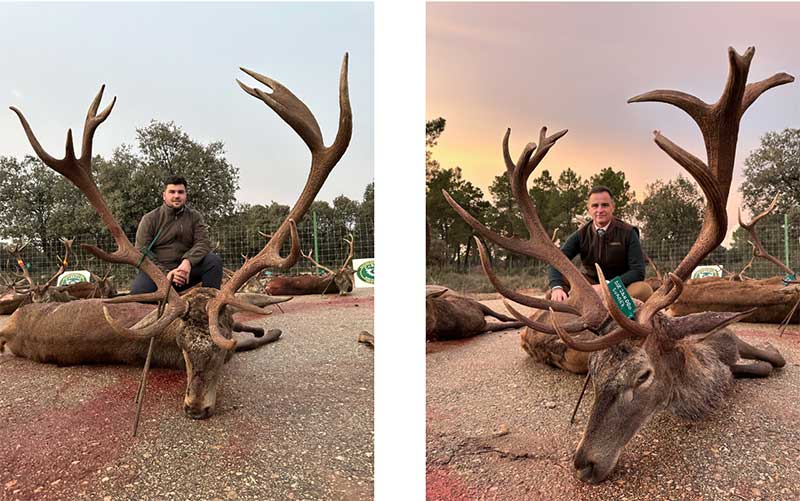 Chaqueta Caza Blaser