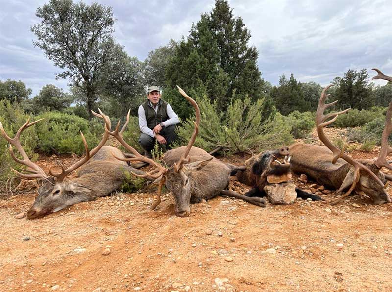 Chaqueta Caza Blaser