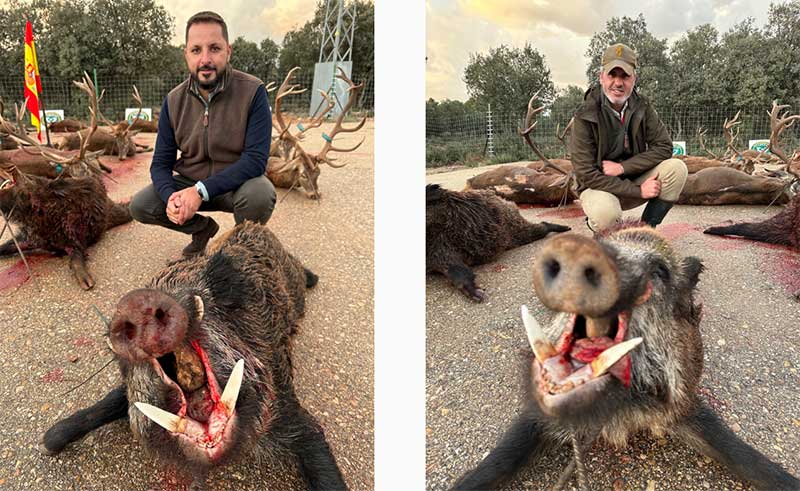 Chaqueta Caza Blaser