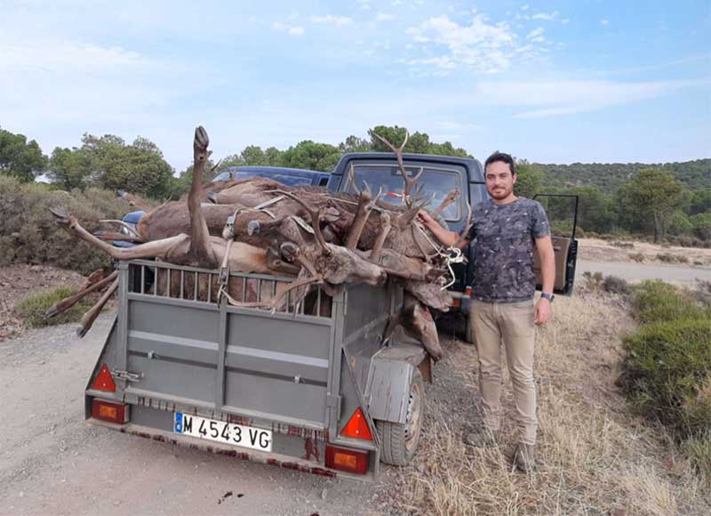 Chaqueta Caza Blaser
