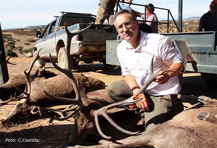 Chaqueta Caza Blaser
