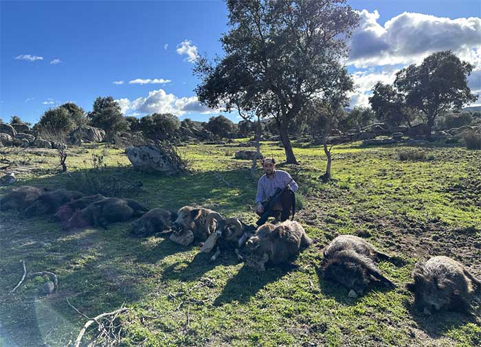 Chaqueta Caza Blaser