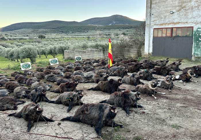 Chaqueta Caza Blaser