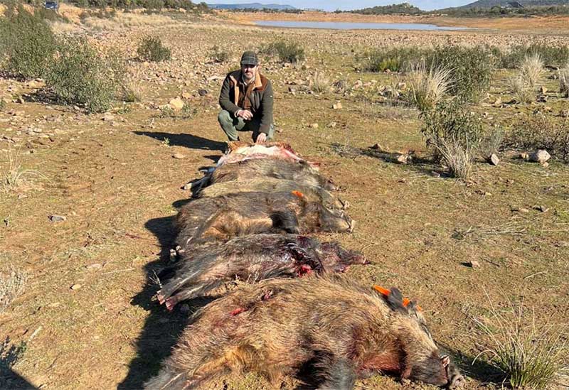 Chaqueta Caza Blaser