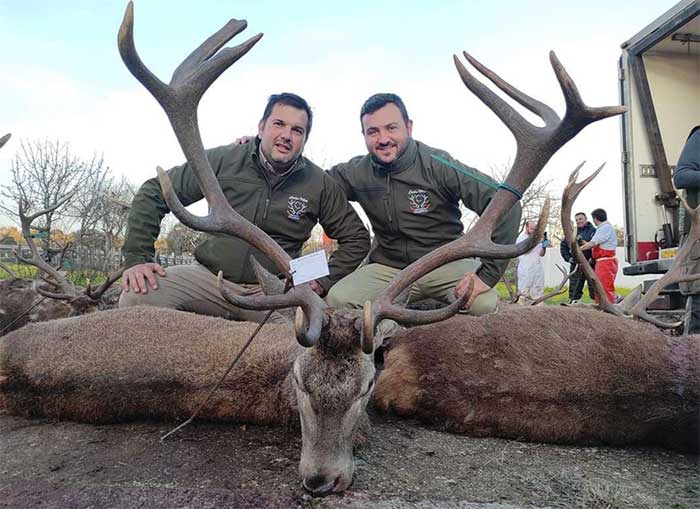 Chaqueta Caza Blaser