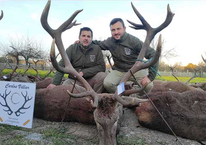 Chaqueta Caza Blaser