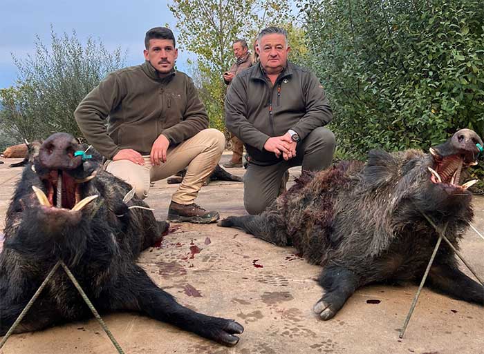 Chaqueta Caza Blaser