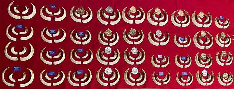 Chaqueta Caza Blaser